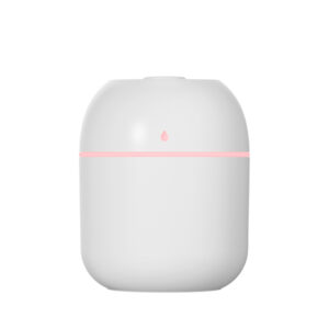 Humidifier