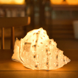 Curved Design Table Lamp Home Decoration Christmas Gift Conch Night Light for Kids